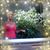 Tina Reierson's profile image