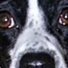 kendalm's profile image