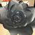Nicole Hollingsworth's profile image