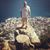 Beau Suthard's profile image