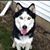 Tami Nowosielski's profile image