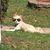 Joe Chasse Sr.'s profile image