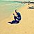 Terenc Dardha's profile image