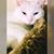 Cheri Frymire's profile image