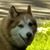 Jarrod Boyden's profile image