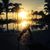 Allison Carll's profile image