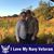 Shelia Enlow Whittington's profile image