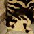 Debbie Westbrook Malloch's profile image
