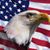 Eric Champagne's profile image