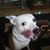 Sondra Harnish's profile image