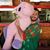 Daniel Williard's profile image