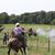Debbie Murry's profile image