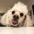 Dena Bleeker's profile image