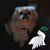 Patricia Pierce's profile image