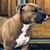 Kevin Campbell's profile image