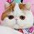 Nancy Olsen's profile image