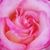 Teresa Marrero's profile image