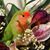 Maria Avilas's profile image