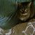 Lori Stone's profile image