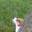 Pamela Weathers Omelson's profile image