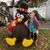 Denise Delaney's profile image