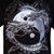 Daryl Clouse's profile image