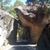 Talal Malik's profile image