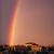 Jenny Andreas Morgenstern's profile image