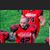 Phil Meredith's profile image