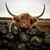 Pamela Montague-VanderMey's profile image