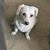 David Lyon's profile image