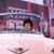 Darlene Lyon's profile image