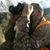 Andrew Hermsen's profile image