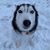 Mary McArdle Leo's profile image