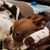 Laury Johnson's profile image