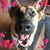 Heather James's profile image