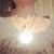 Nisla Whetstone's profile image