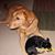 Anna Marie Shifferly's profile image