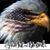 Tina Broughton's profile image