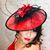 Leslie Lorah's profile image