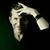Fred Connors's profile image