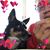 Janet Schneider's profile image
