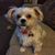 Ruth Biemuller's profile image