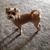 June Pinsonat's profile image