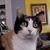 Victoria Bennett's profile image