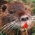 Fred Ducque's profile image