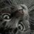 Tom Teater's profile image