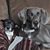 Julie Mims's profile image