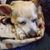 Christine Conroy's profile image