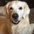 Lea-Eden Satterthwaite's profile image